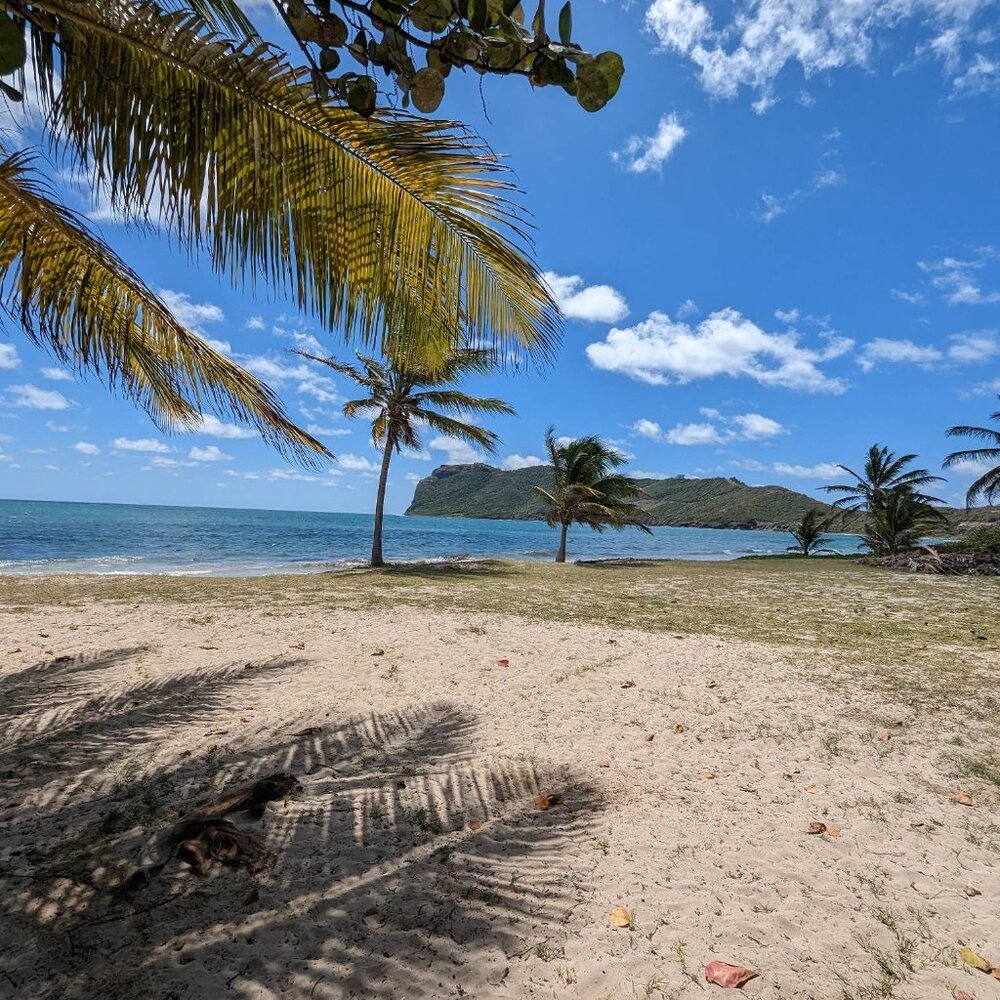 Meet your Posher, Oana